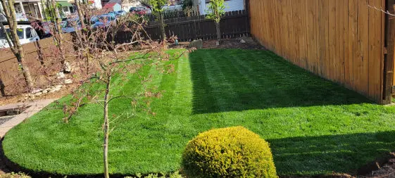 For the greenest yard in the city, we provide high-quality lawn care solutions, including grass cutting, grass seeding and sowing, and even sod installations. 