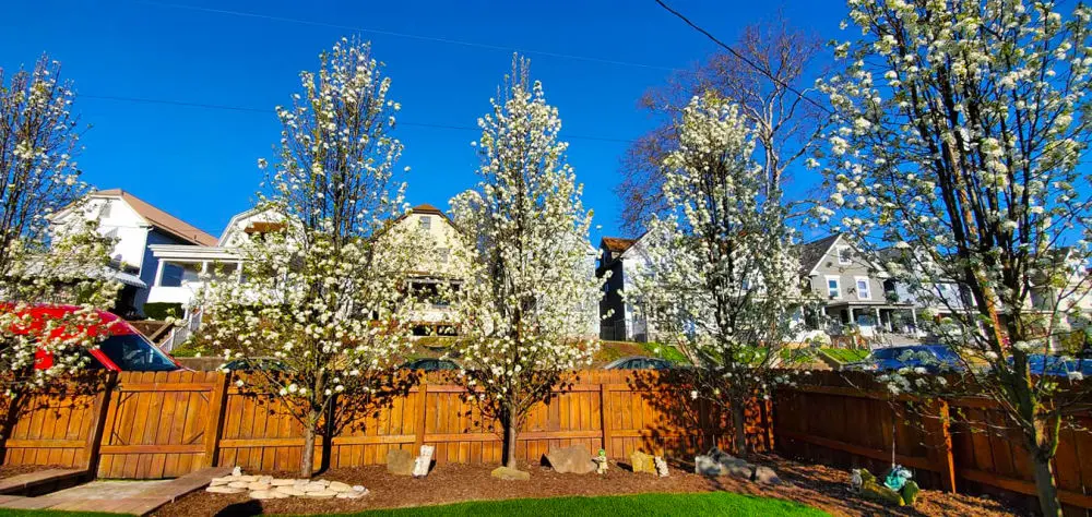 From tall, flowering trees to shrubs, we can take on just about any job. Let us trim your bushes, manicure your hedges, and give shape to ornamental plants as you watch them come to life. Landscapes are all about personality. Let us match yours with a custom-designed landscape for you and yours! 