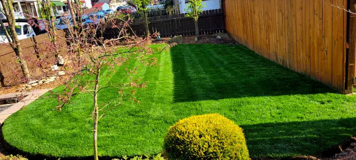 Edging, weed-eating, cutting lawns... we do it all. From Spring Cleanups to weeding and mulch laying, you're in good hands with Abraham Landscape & Creative Design --- A Greater Pittsburgh Landscape Company --- the best pittsburgh landscape company for quality and price.