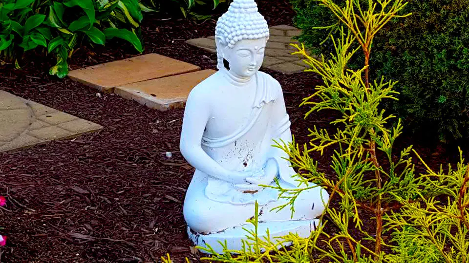 Start your morning with an hour of meditation --- or simply sip your coffee while taking in the positive energy of your very own zen garden with an Asian theme. 